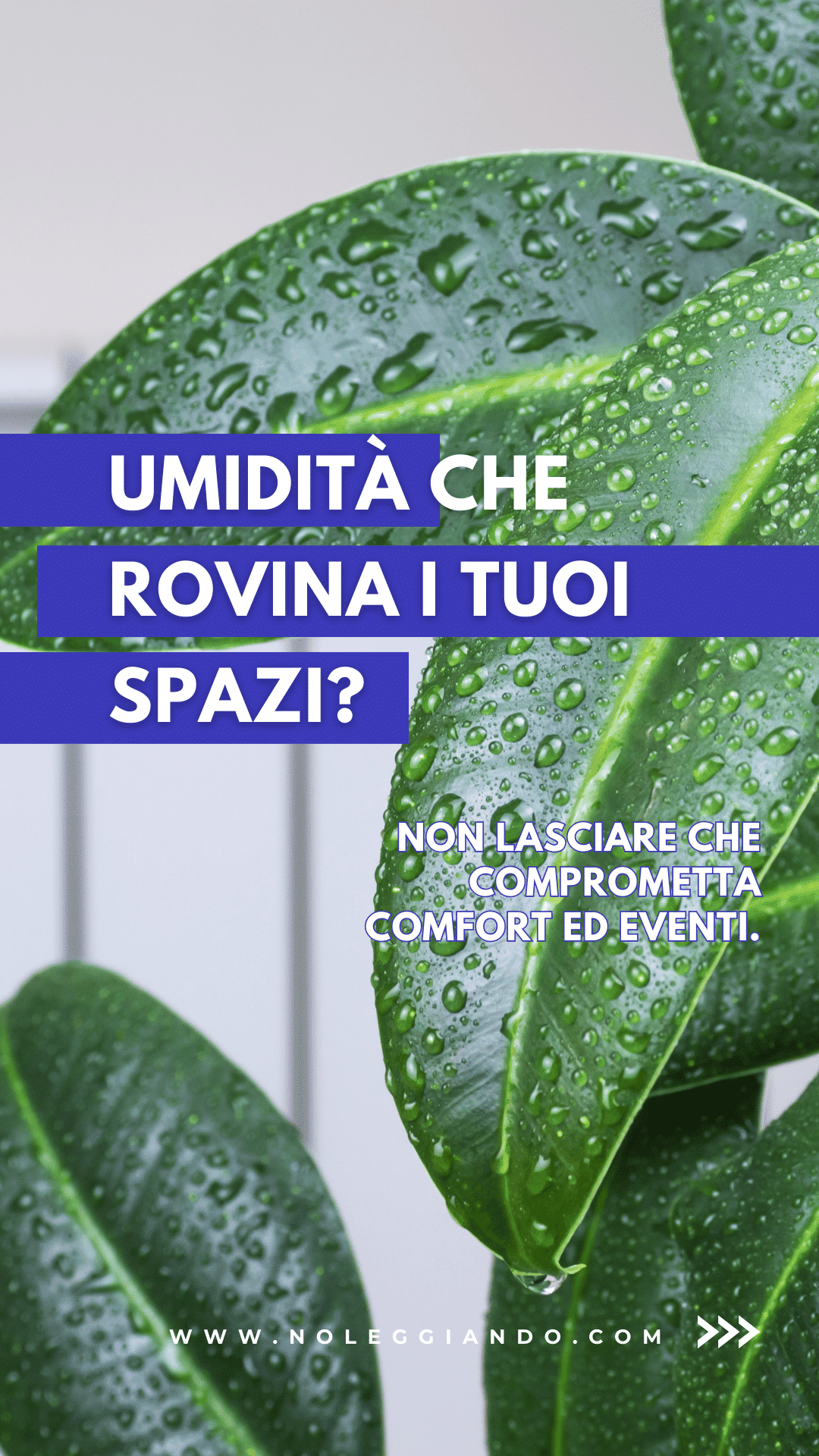 banner-deumidificatori