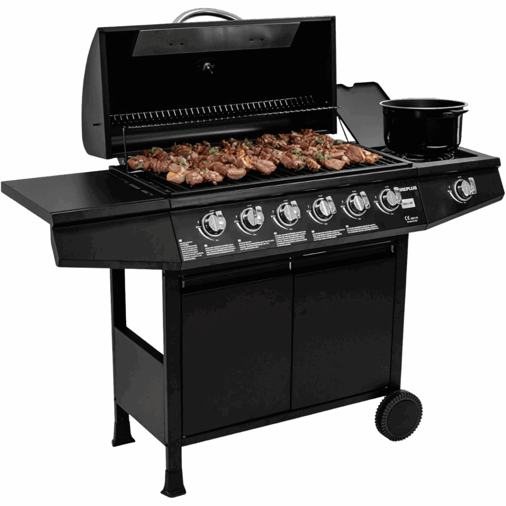 noleggio barbecue a gas 2