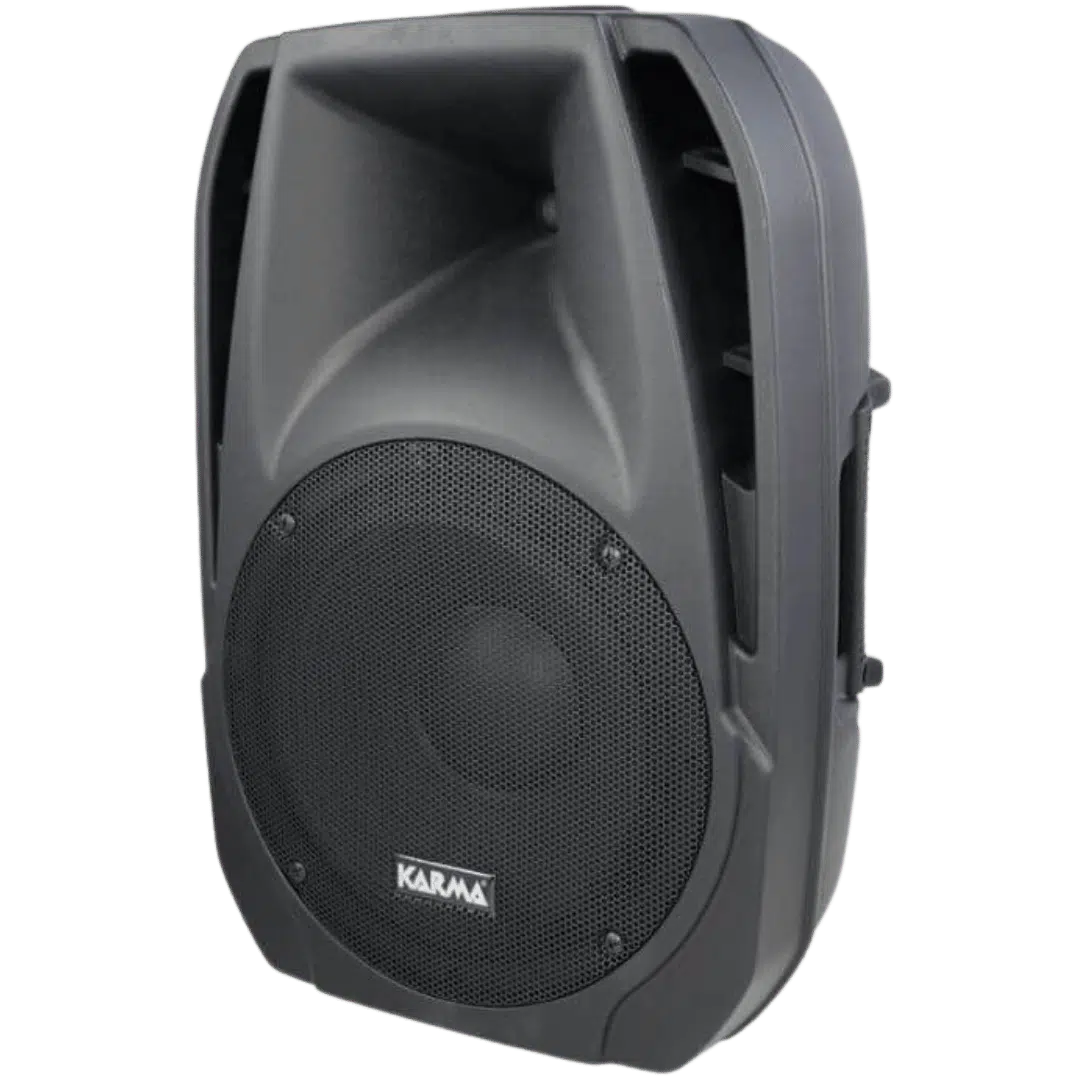 Noleggio Cassa Audio Amplificata - Passiva 250W