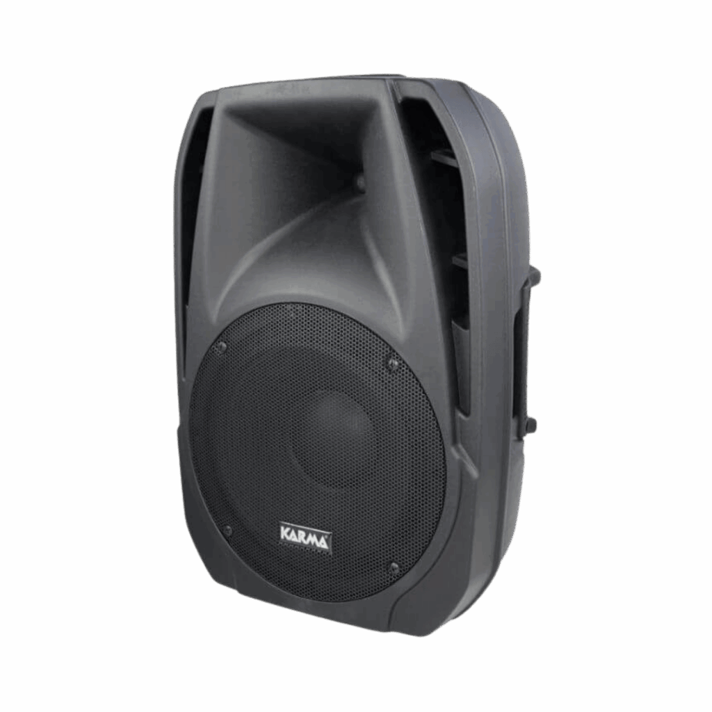 Noleggio cassa audio amplificata singola 450w
