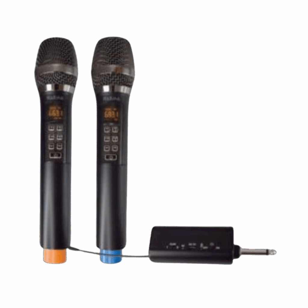 Noleggio coppia radiomicrofoni karaoke