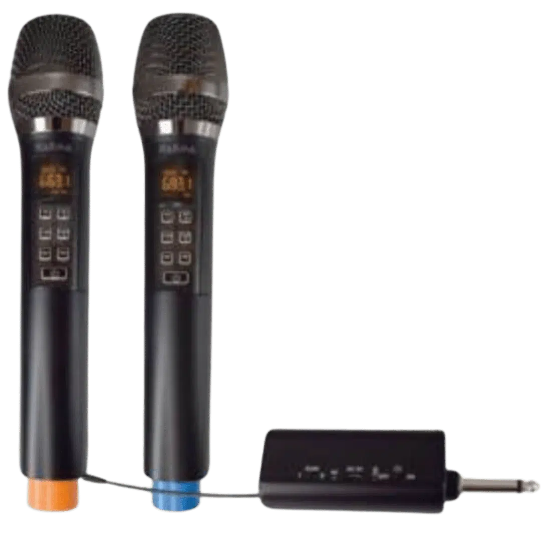 Noleggio Microfono - Coppia Gelato Wireless