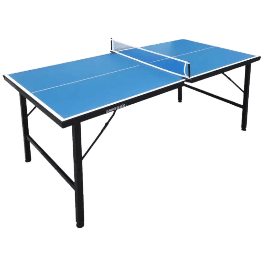 noleggio tavolo ping pong leggero 2