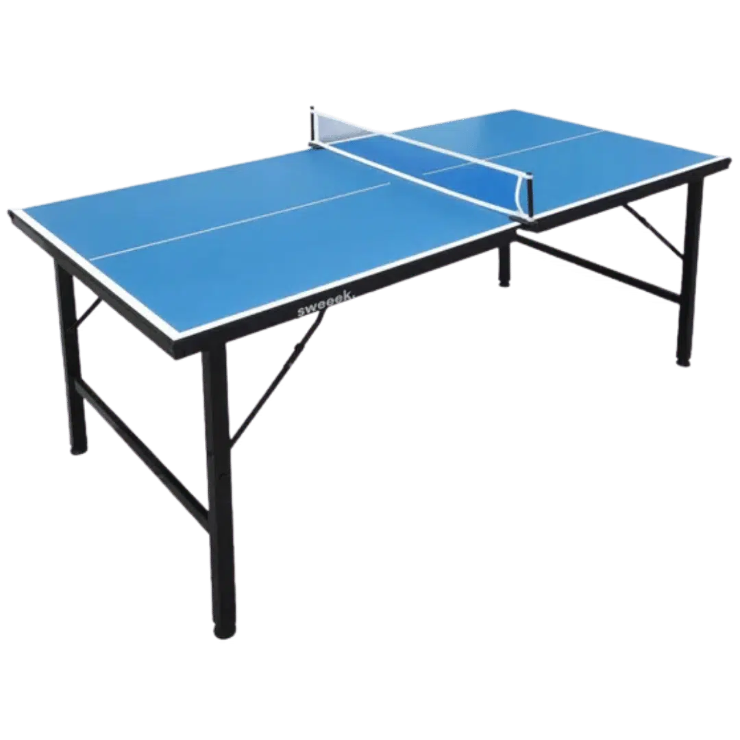 Noleggio Tavolo Ping Pong - Leggero